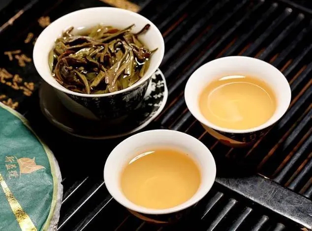 茶會(huì)“說話”，讀懂云南古樹普洱茶的秘訣