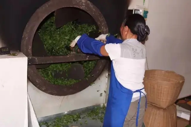 手工殺青與機(jī)器殺青的區(qū)別！