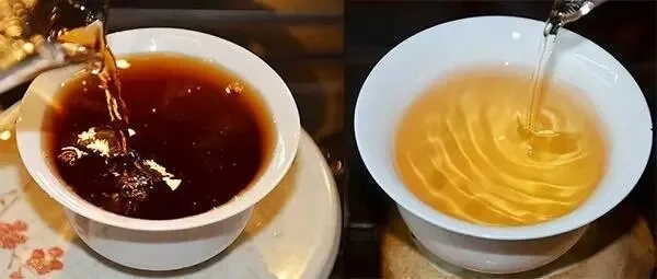 普洱茶湯怎么也會“出油”？