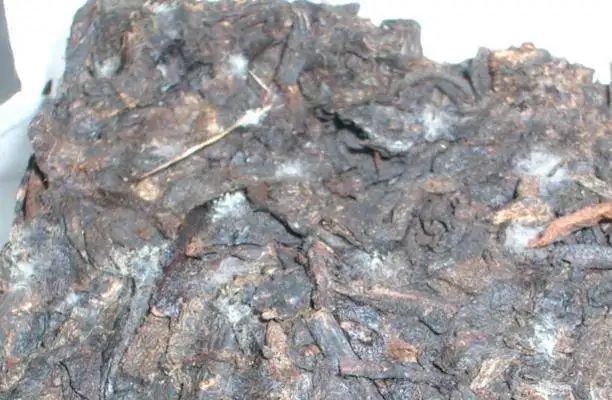 ?普洱茶發(fā)霉了怎么辦？教你妙招應(yīng)對發(fā)霉的普洱茶！