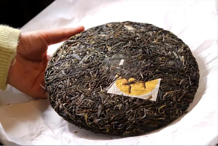 犀牛塘 | 古韻留香，帕沙之王