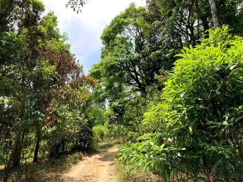 茶山紀(jì)實(shí)：犀牛塘，最近能火是有原因的