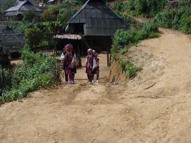 2022年的春天，古樹味道從犀牛塘開始！