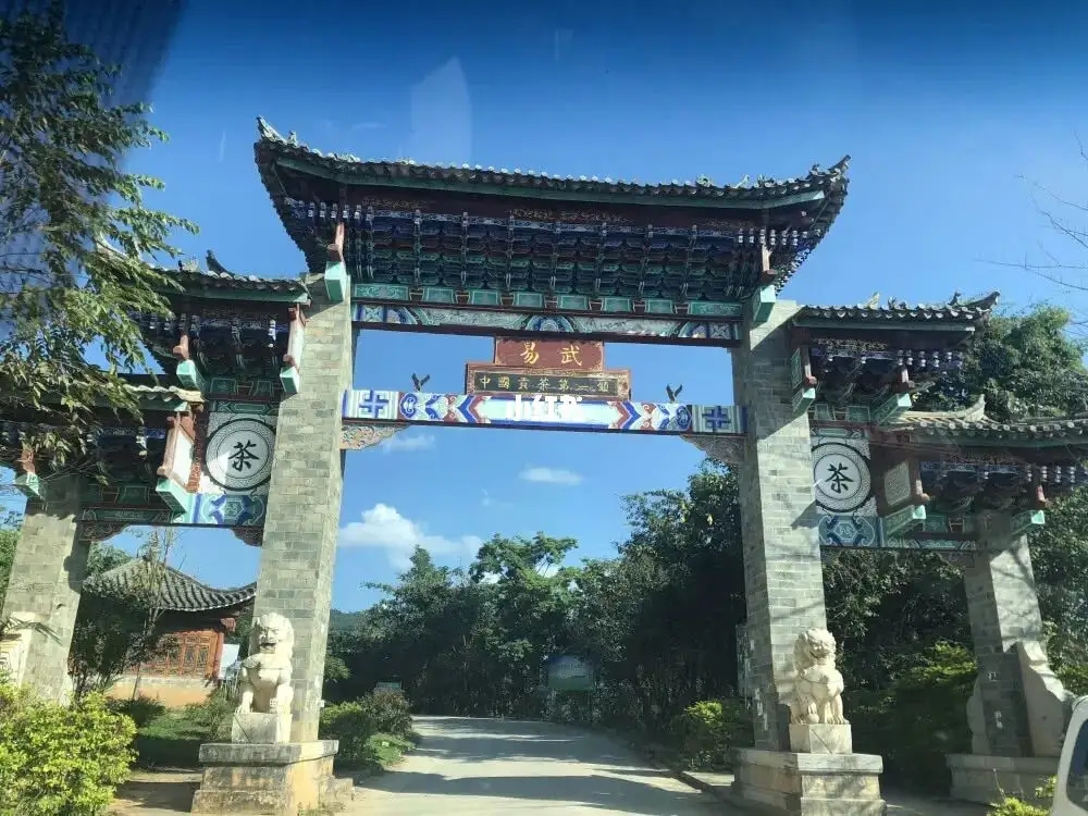 古樹茶年份越老，茶葉就越好嗎？影響茶葉品質(zhì)的因素有哪些？