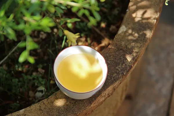 普洱茶越苦澀就代表品質(zhì)越好嗎？