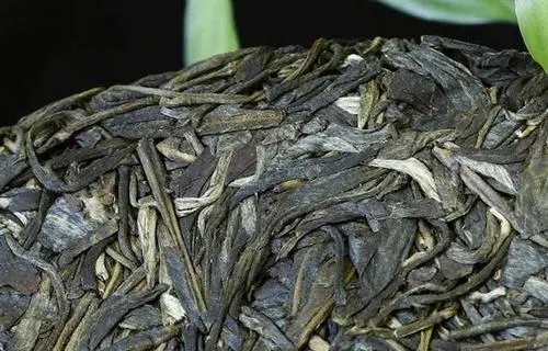 喝普洱茶，一定要喝老茶嗎？