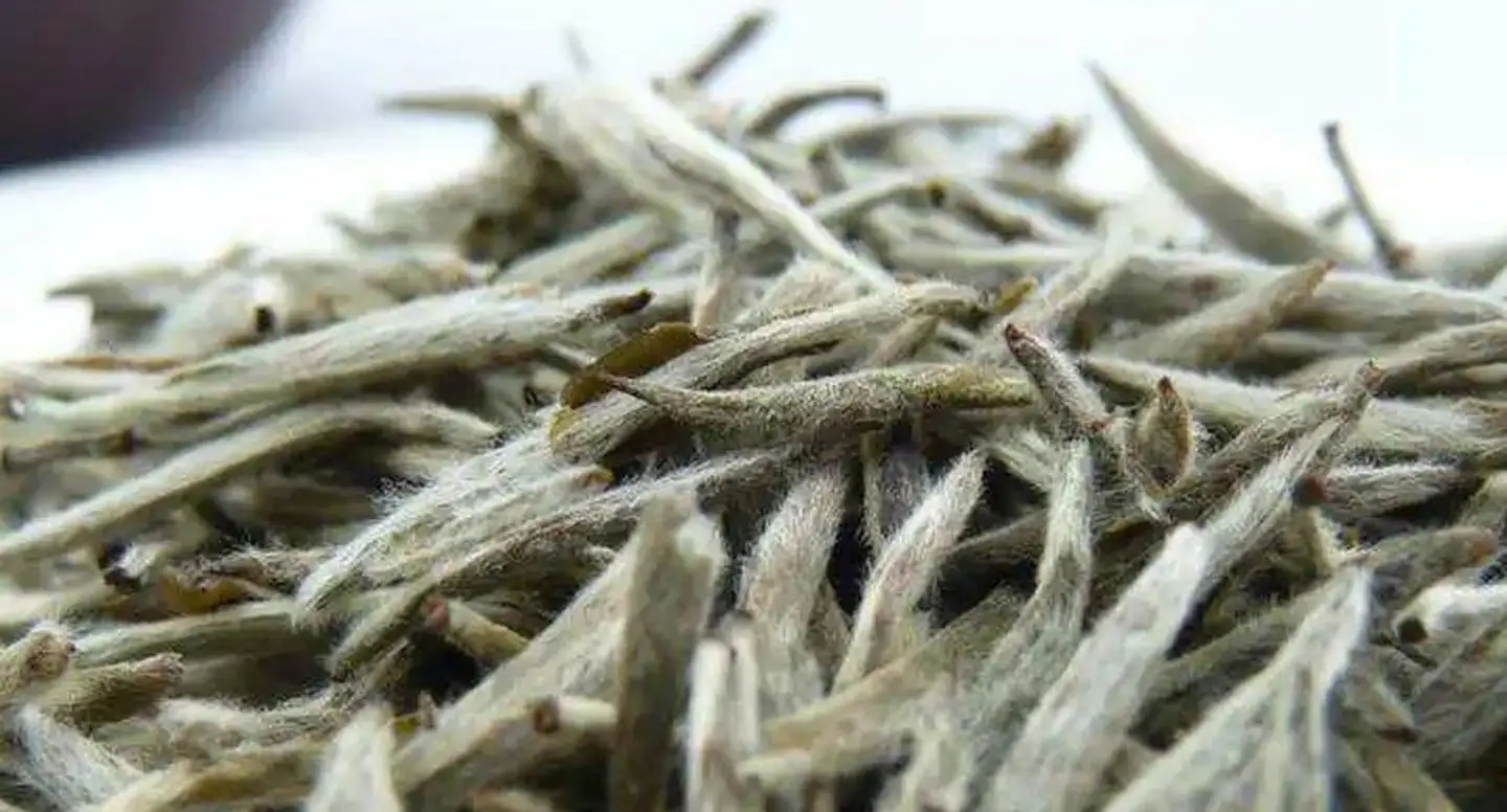 茶毫越多的茶，品質(zhì)就越高嗎？