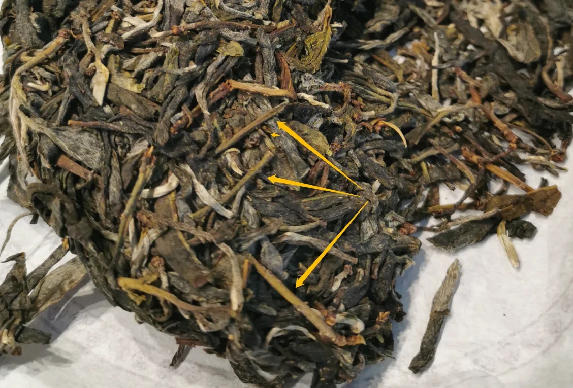 普洱茶的葉底有茶梗，就是茶不好嗎？