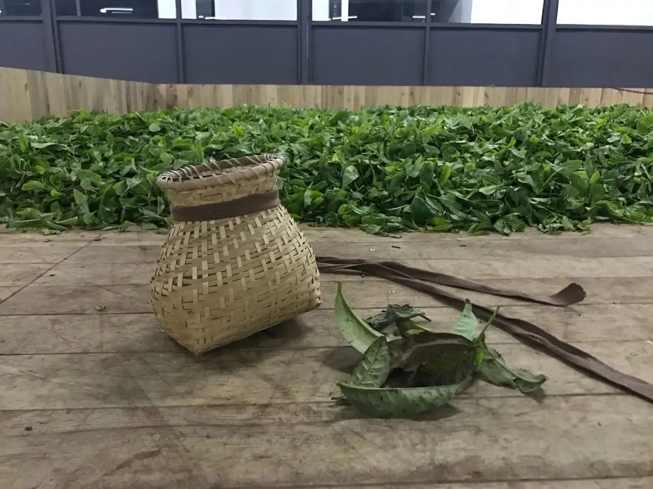 普洱茶，如果不談山頭，我們談什么？