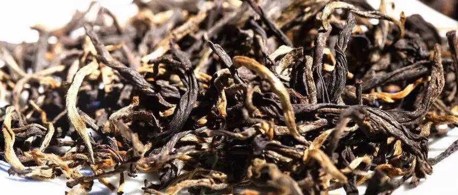 什么是茶氣？茶氣強(qiáng)勁又是一種怎樣的體驗(yàn)？