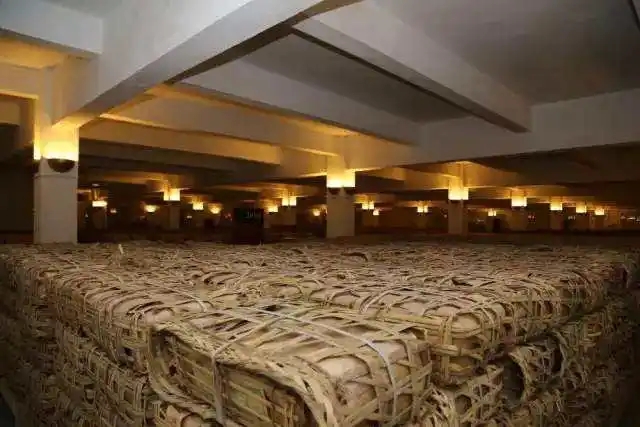 云南古樹普洱茶好在哪？相比小樹茶、臺地茶有何不同？