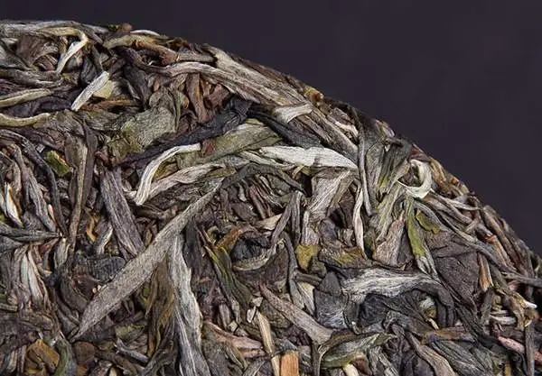 普洱茶屬于什么茶？普洱茶為什么會越陳越香？