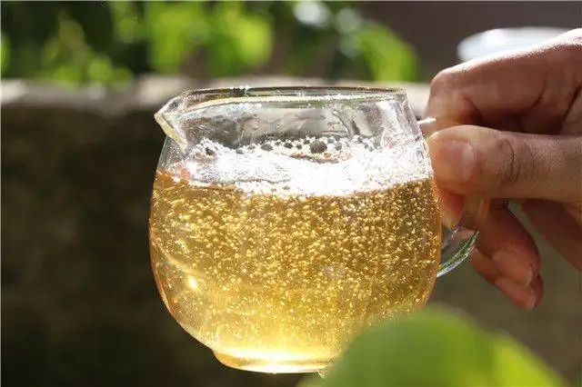 茶顏觀色”，看普洱茶條索里都蘊(yùn)含著怎樣的“密碼”？