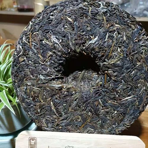 勐庫茶到底是個啥味道？