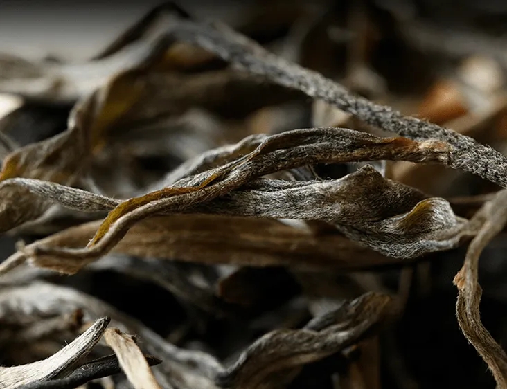 云南普洱茶必然崛起的底層邏輯