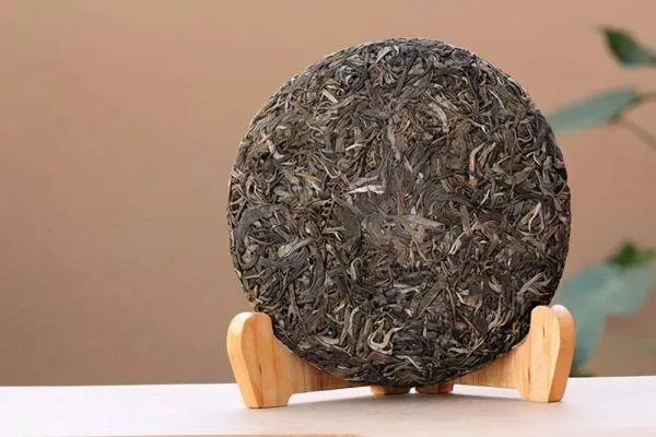 普洱茶入門首要問題，弄清楚，才能喝好茶