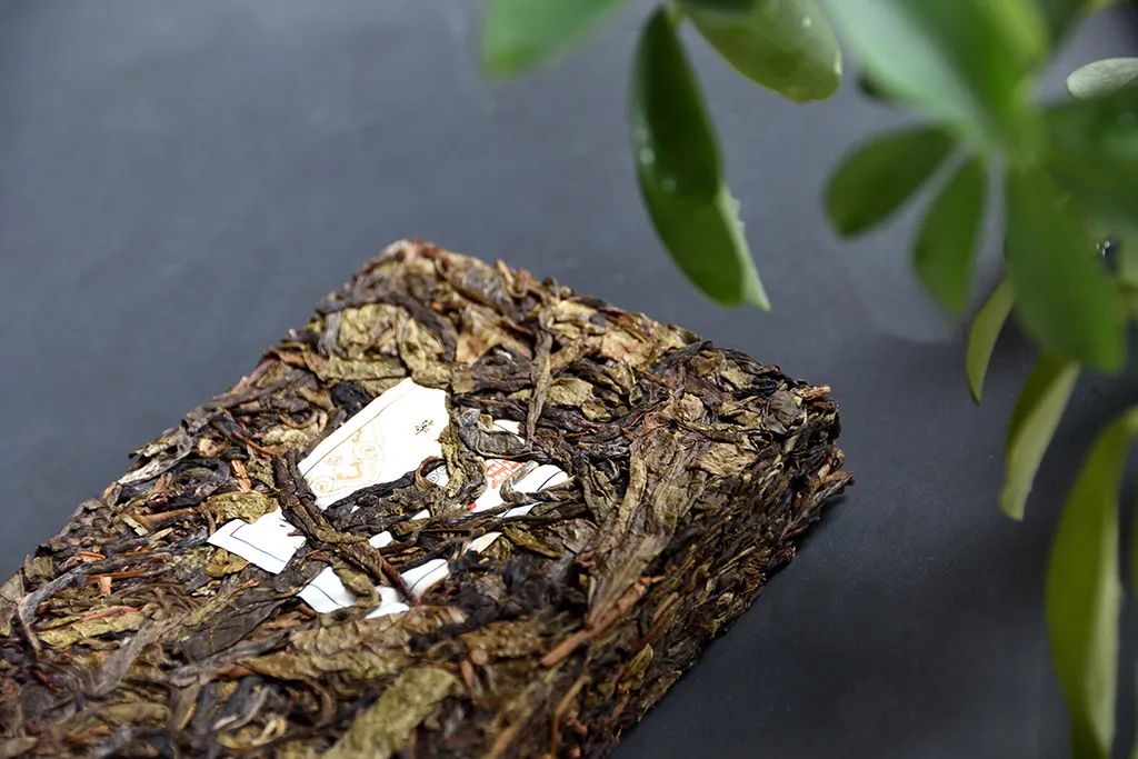 普洱茶古樹(shù)黃片，性價(jià)比超高的口糧茶，有骨有肉香甜順