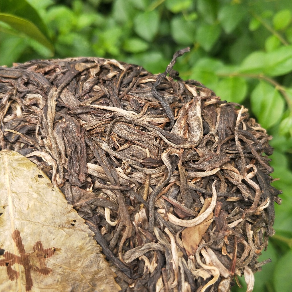 2023年班盆古樹春茶多少錢一公斤？