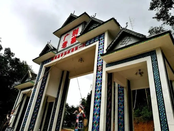 2023年廣別老寨古樹春茶品質如何？