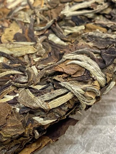 2023年拔瑪老寨古樹春茶特點(diǎn)是什么？