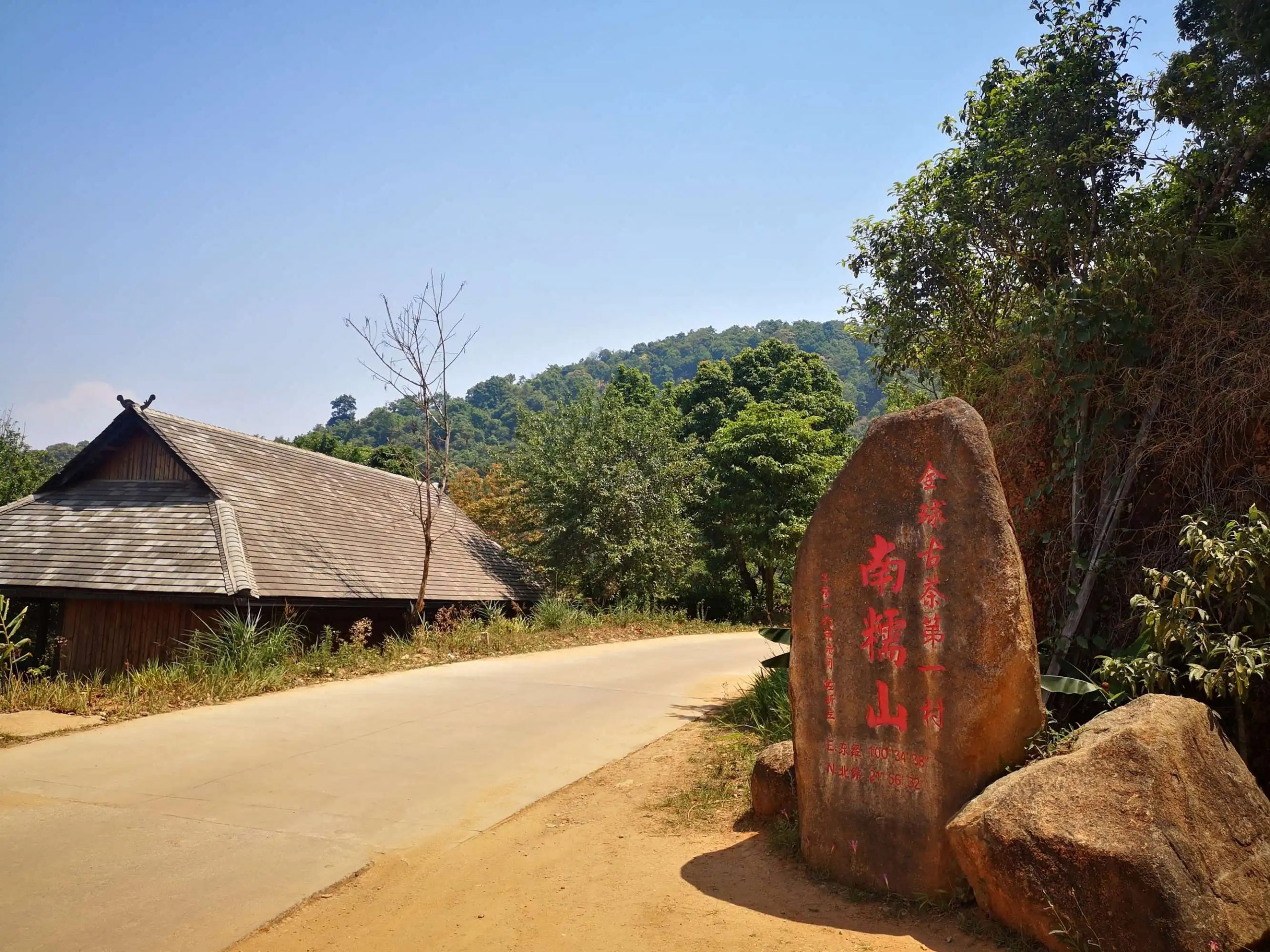 2023年南糯山古樹春茶品質(zhì)怎么樣？