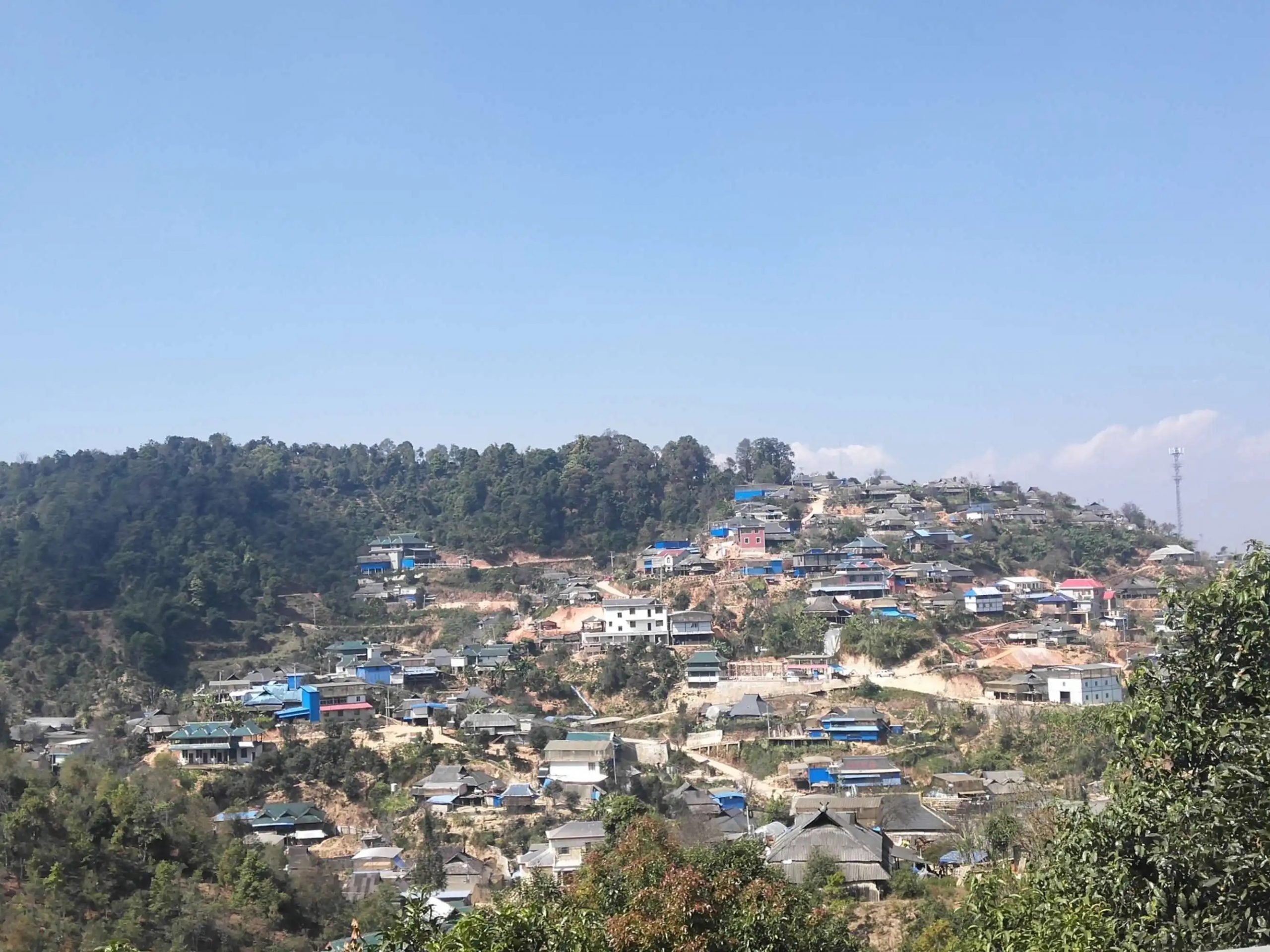 2023年帕沙古樹春茶品質如何？