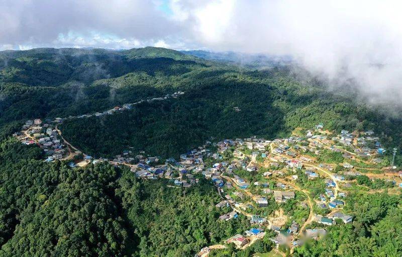 2023年帕沙古樹春茶口感怎么樣？