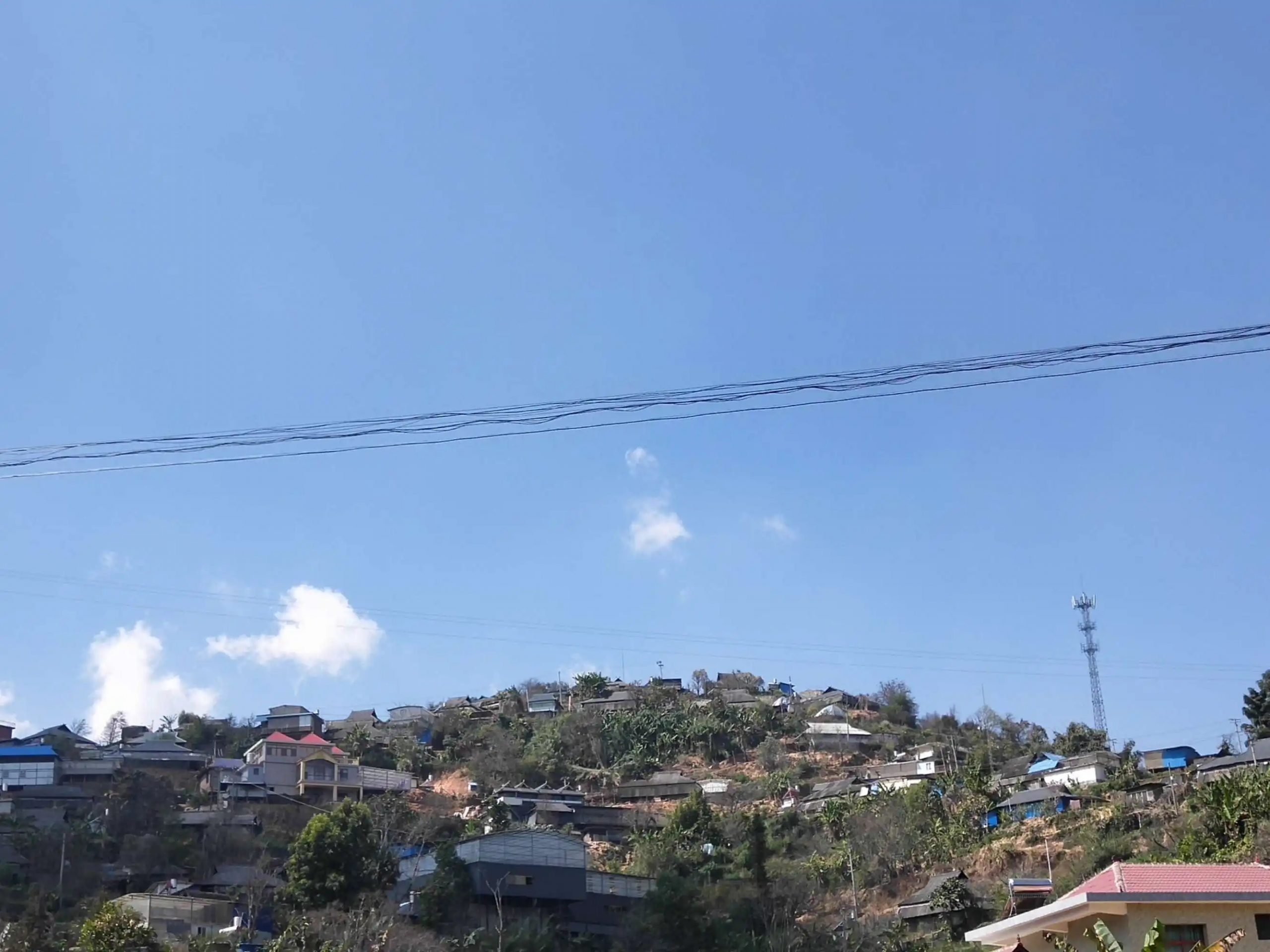 2023帕沙古樹春茶特點是什么？