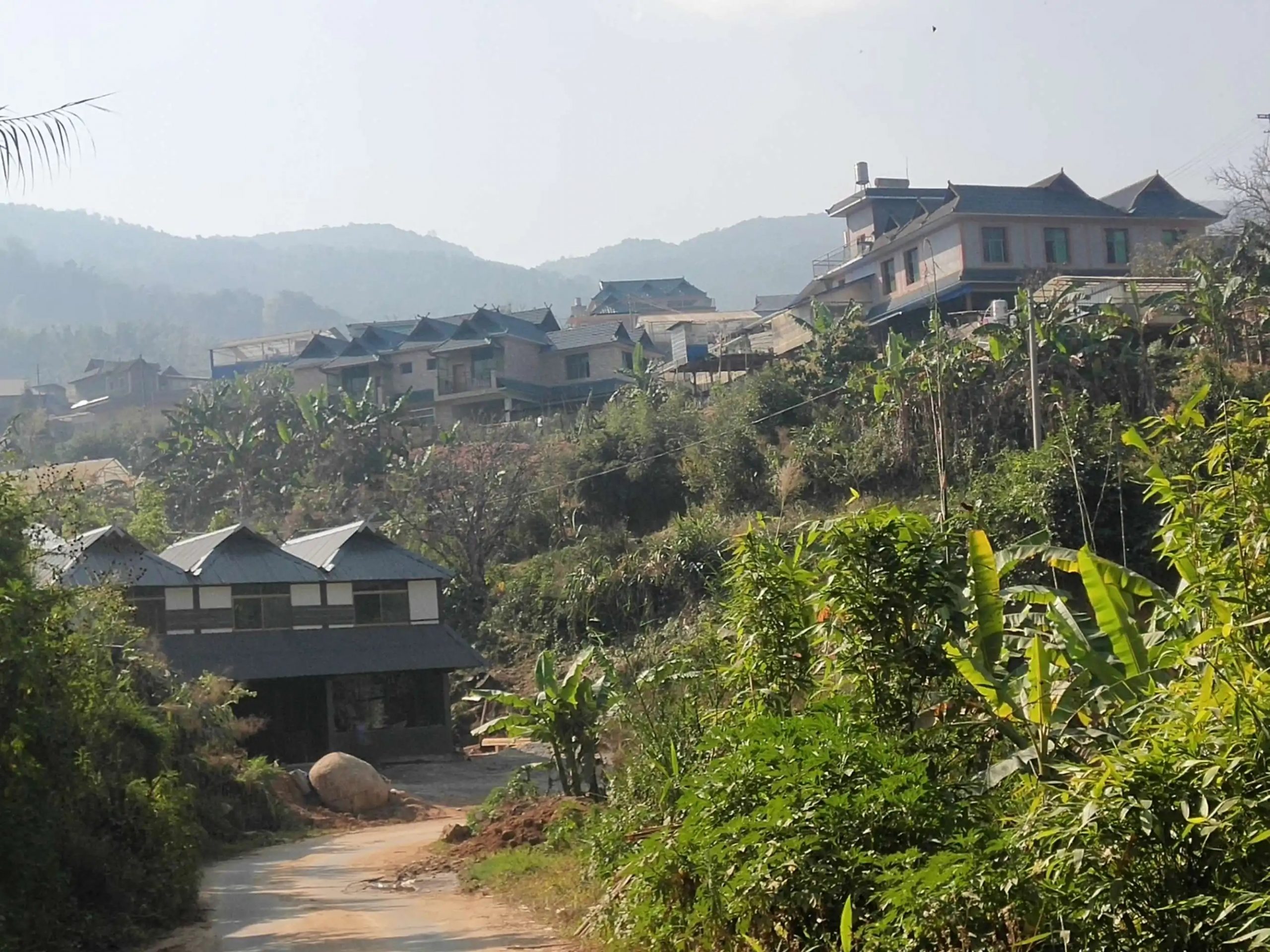 2023年帕沙古樹春茶價(jià)格多少錢？