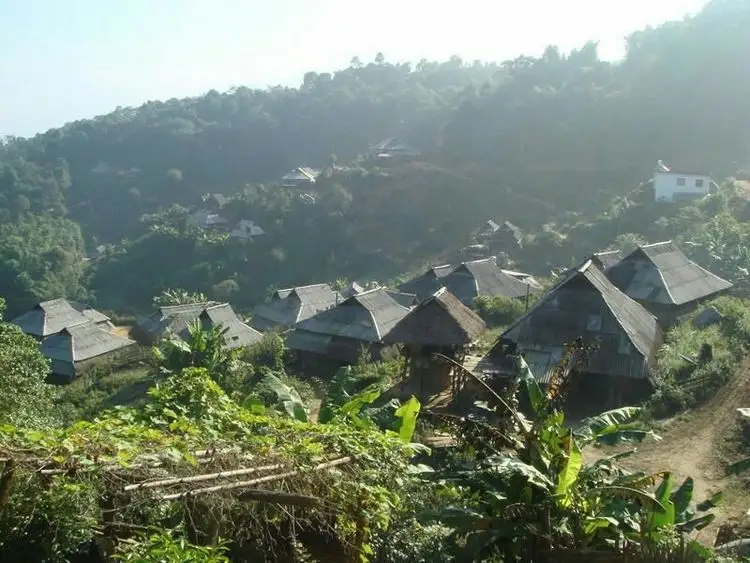 2023年帕沙古樹春茶多少一公斤？