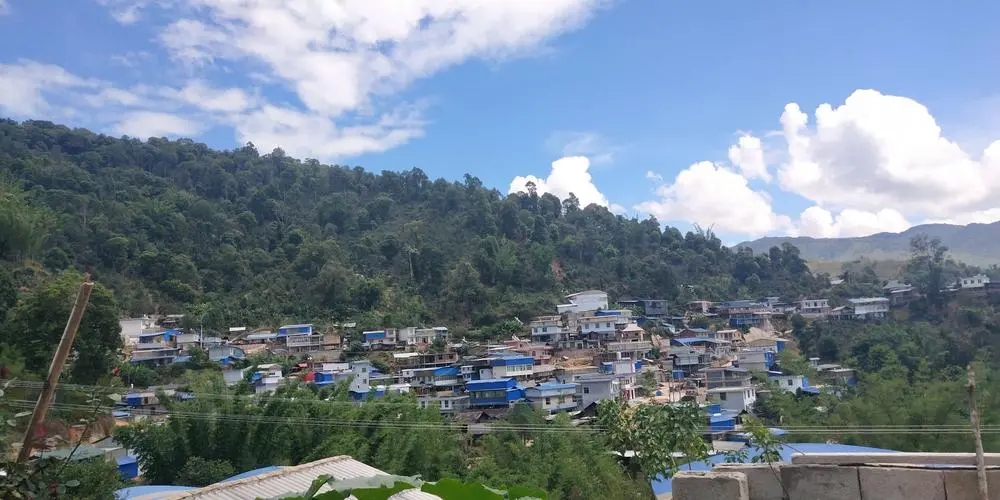 2023年那卡古樹春茶品質(zhì)如何？