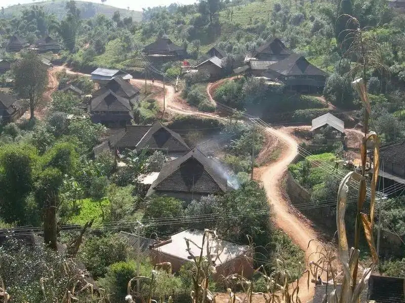 2023年保塘老寨古樹春茶品質(zhì)如何？