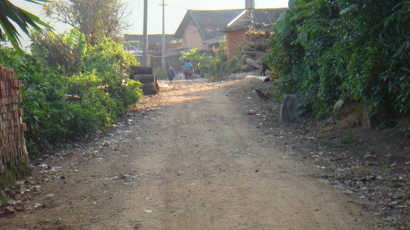 2023年保塘老寨古樹春茶價格是多少？