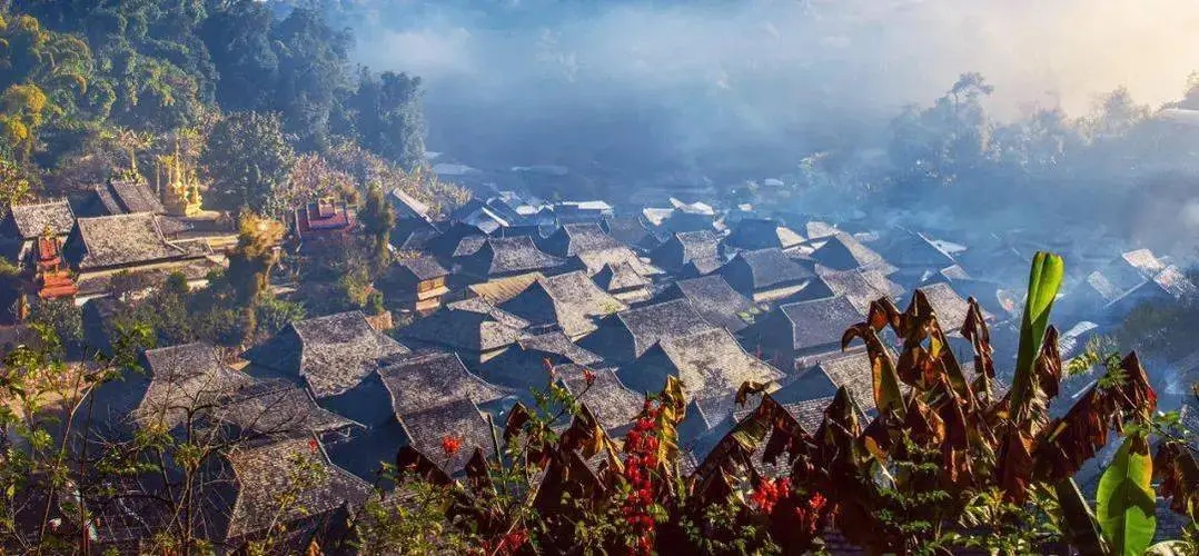 2023年景邁古樹(shù)春茶品質(zhì)如何？