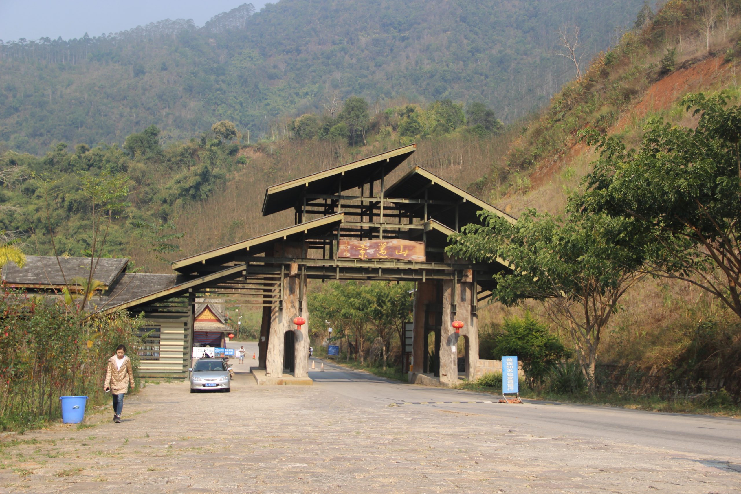 2023年景邁古樹春茶口感如何？