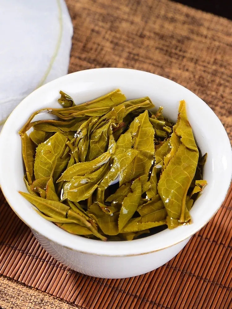 2023白鶯山古樹(shù)春茶特點(diǎn)是什么？