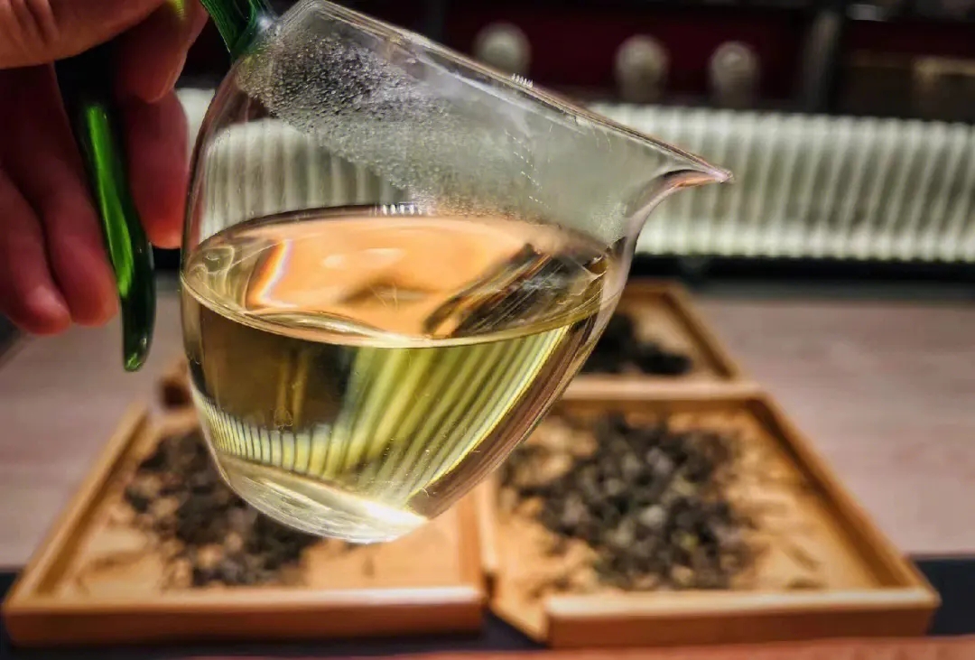 2023年鳳凰窩古樹(shù)春茶價(jià)格是多少？