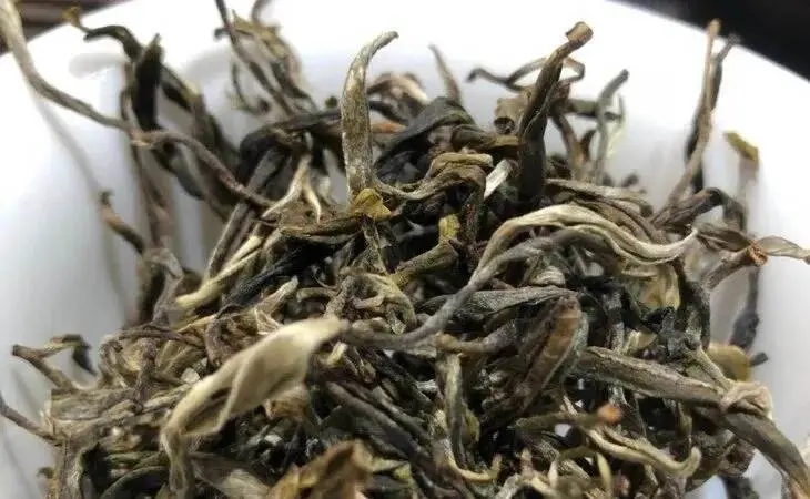 2023年鳳凰窩古樹(shù)春茶多少一公斤？