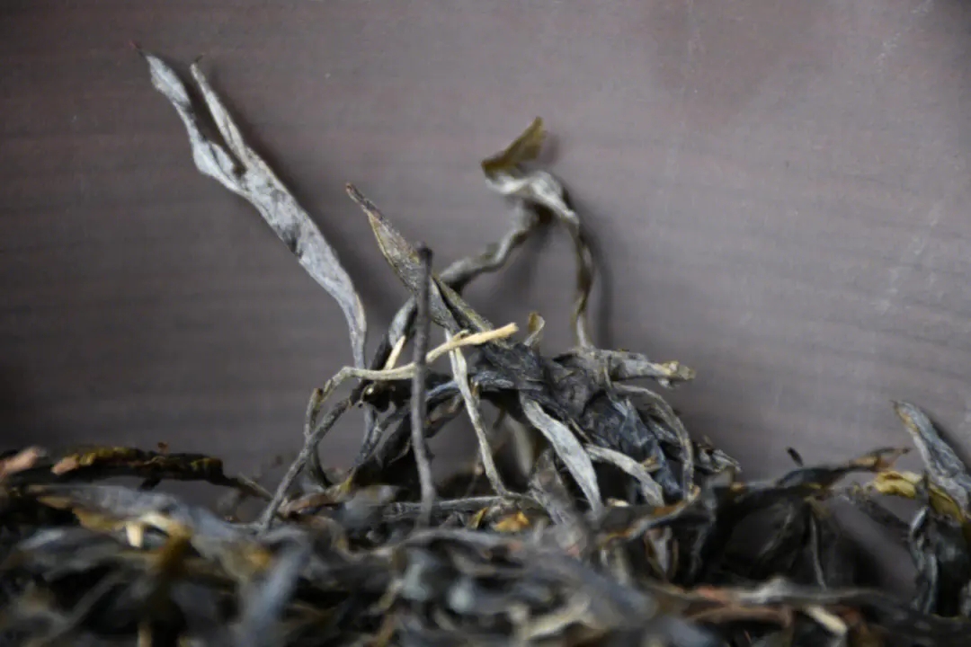 2023年正氣塘古樹(shù)春茶多少一公斤？