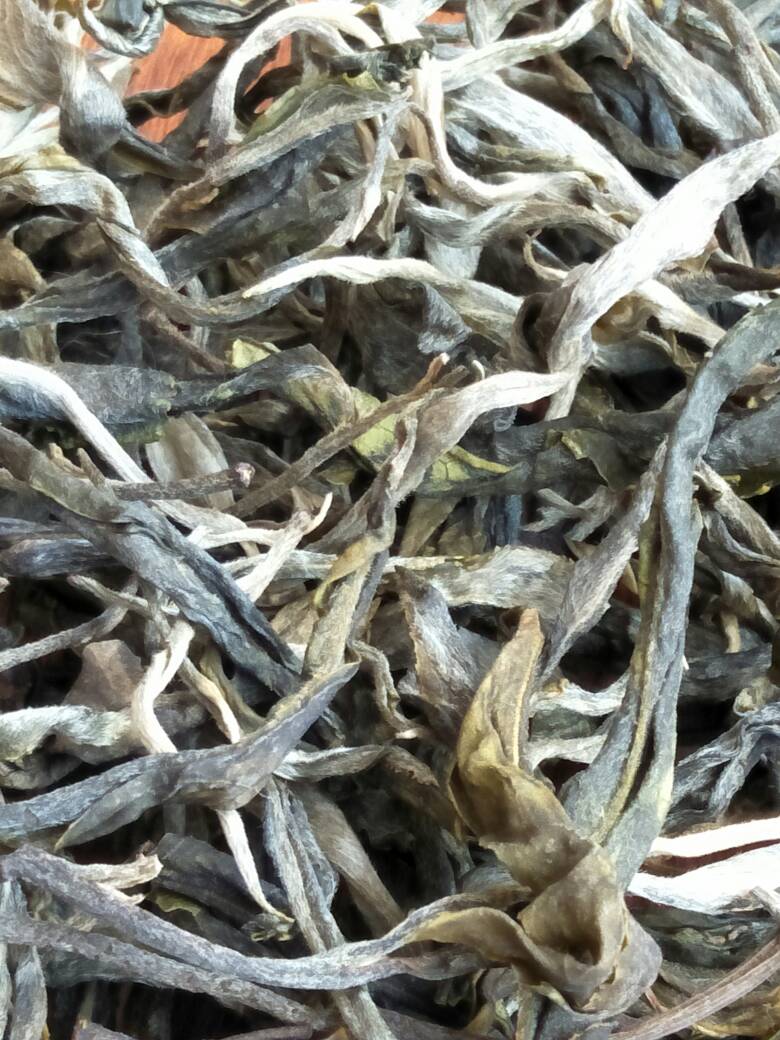 2023年壩歪古樹春茶價格是多少？