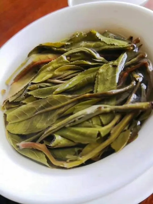 2023年鍋底塘古樹春茶特點是什么？