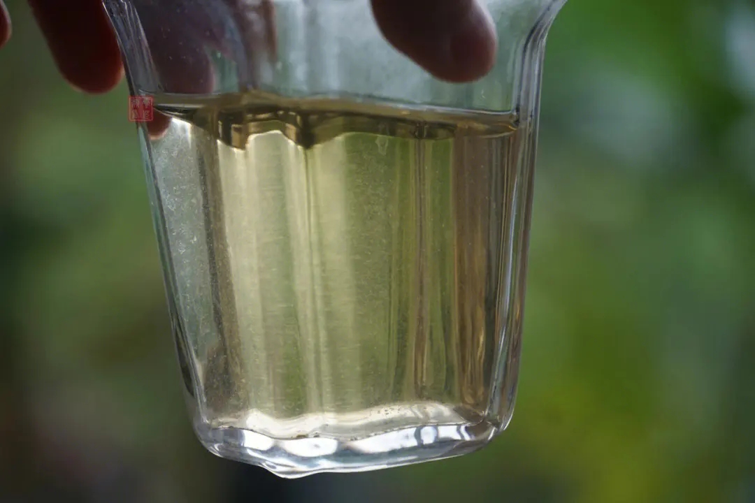 2023年多依樹古樹春茶價格是多少？