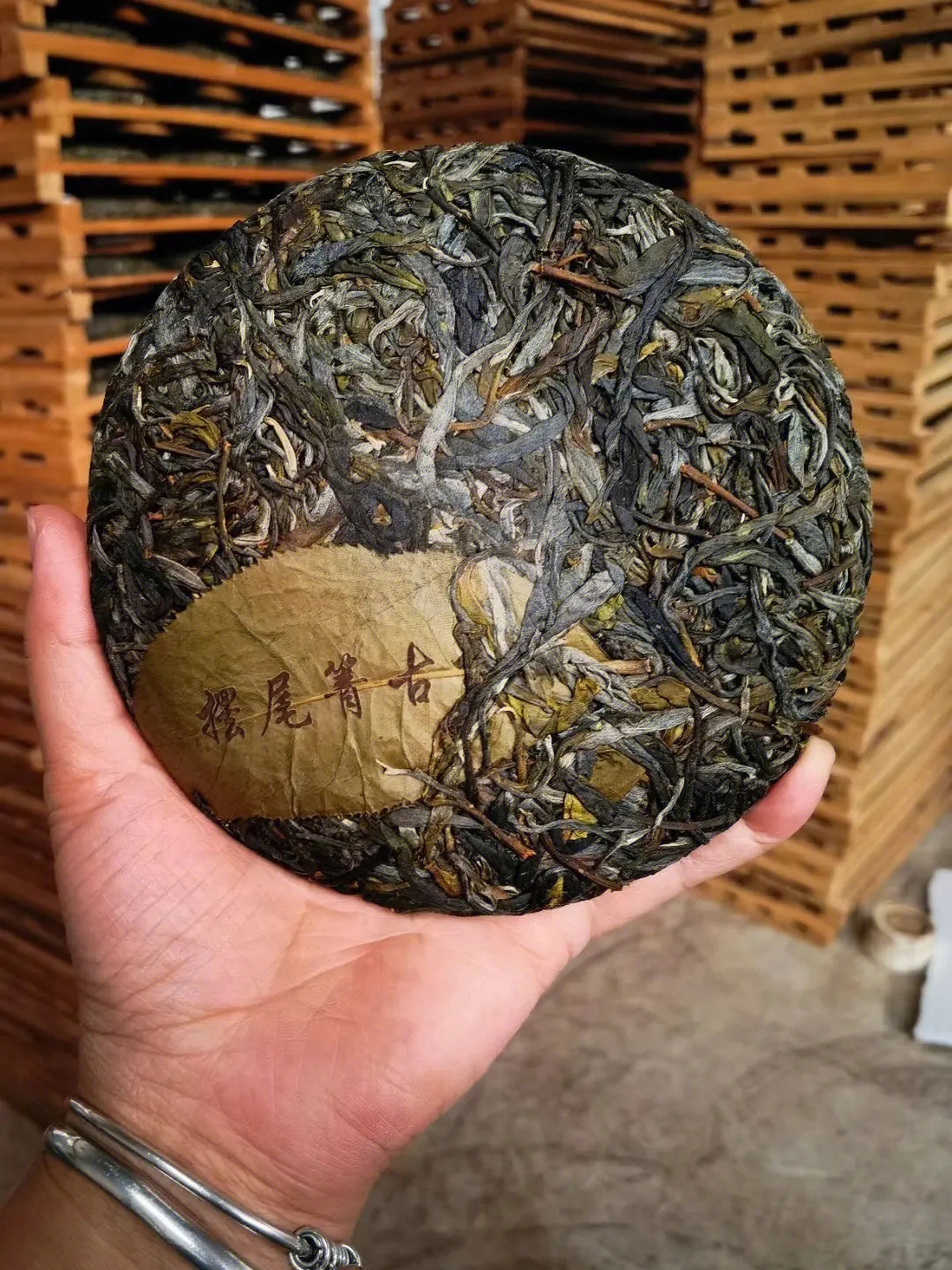 2023年寧洱擺尾箐古樹春茶品質(zhì)怎么樣？