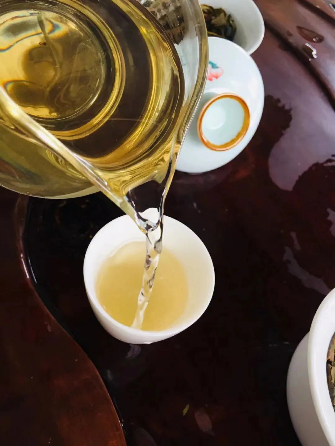 2023年鎮(zhèn)沅老海塘古樹春茶價(jià)格是多少？