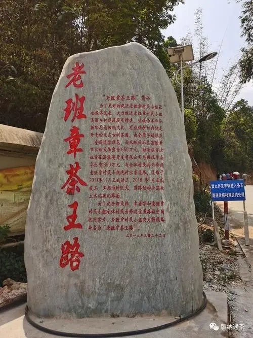 2024年老班章古樹春茶品質(zhì)如何？