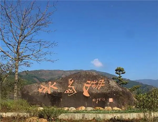 2024年冰島老寨古樹春茶品質(zhì)怎么樣？