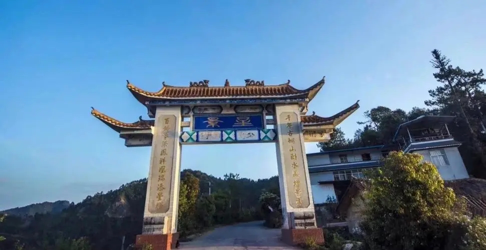 2024年墨江鳳凰窩古樹春茶特點(diǎn)是什么？