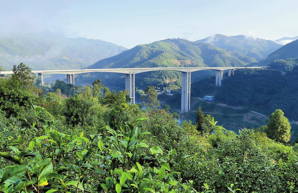 2024年昔歸古樹春茶品質(zhì)如何？