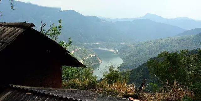 2024年磨烈古樹春茶價(jià)格多少？