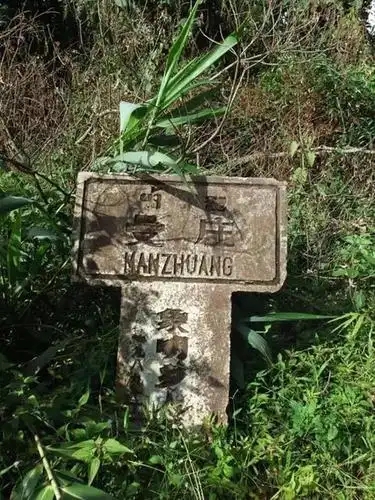 2025年蠻磚古樹春茶特點(diǎn)是什么？